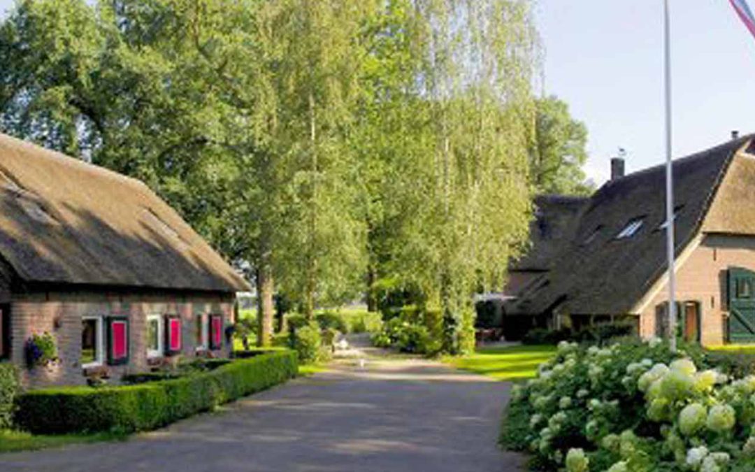 Peppelhout, een mooi initiatief!