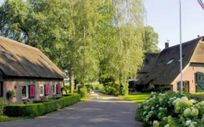 Peppelhout, een mooi initiatief!