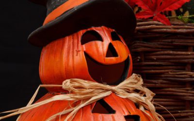 Halloween-hamsteren? Alle producten weer leverbaar!