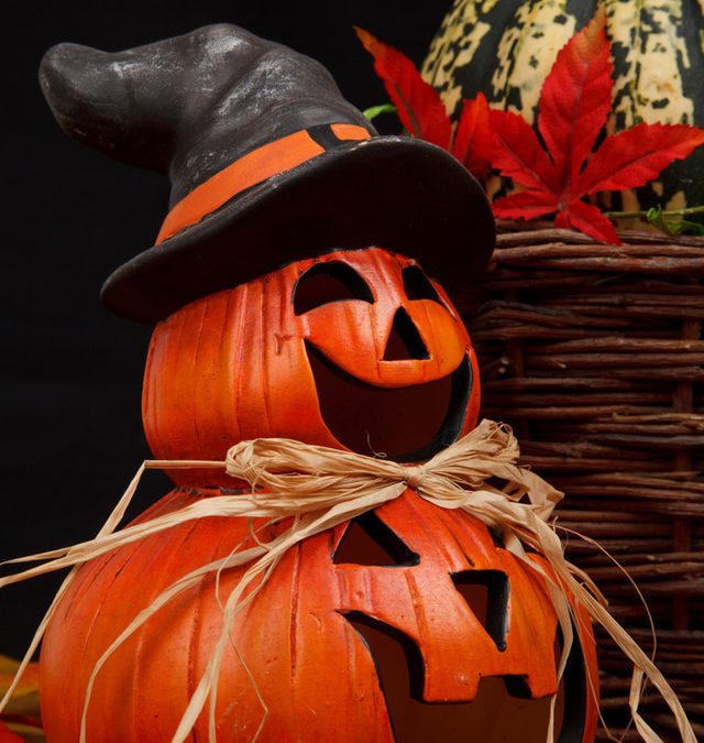 Halloween-hamsteren? Alle producten weer leverbaar!